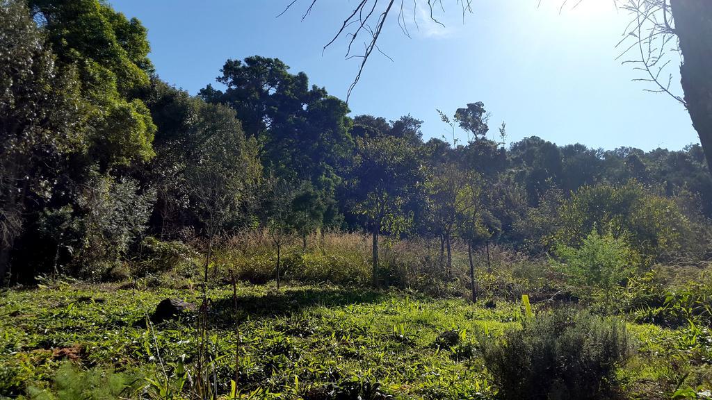 Evergreen Cabin Karkloof Yarrow 외부 사진